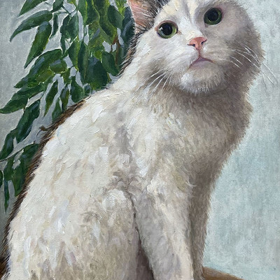 белый кот