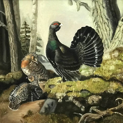 глухари